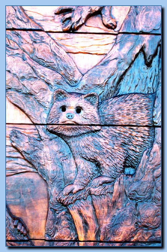 1-53 raccoon in carved door